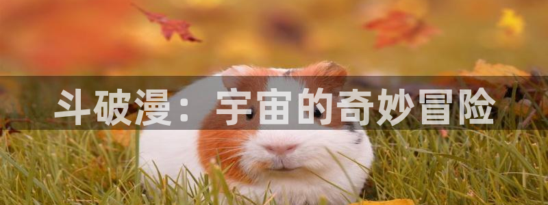 动漫屋下载安装