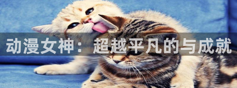 动漫屋app正版下载