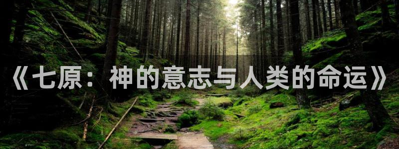 动漫屋网