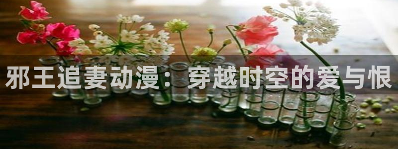 动漫屋动漫